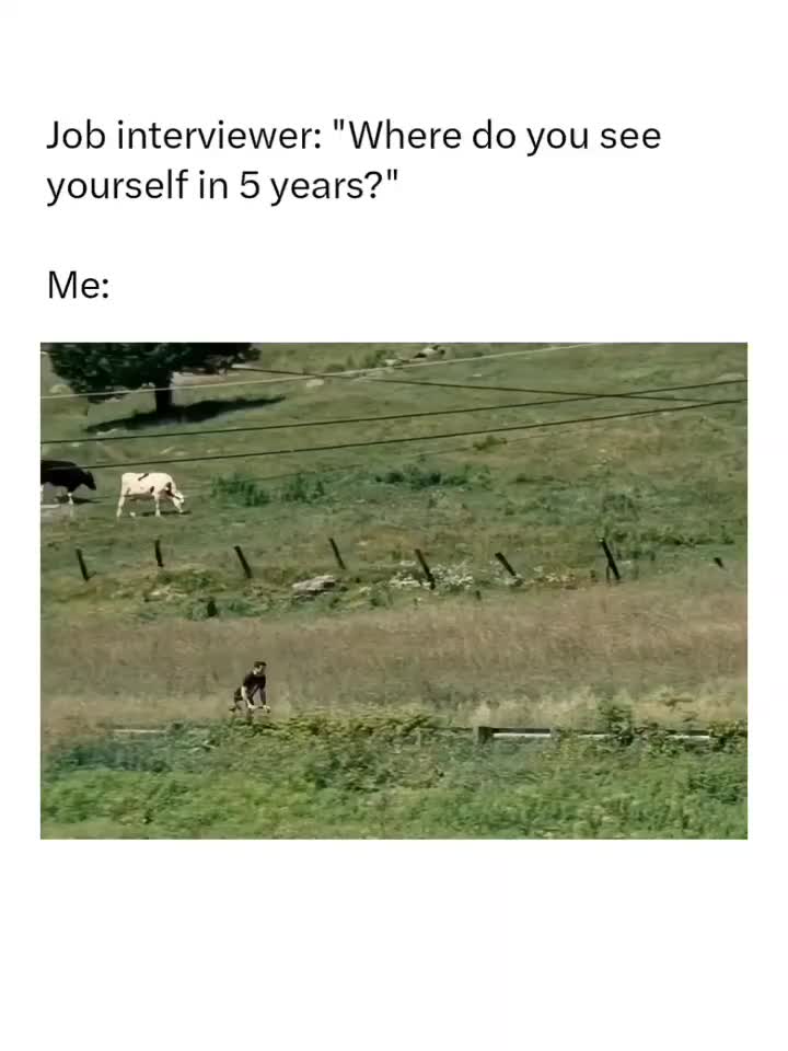 @Memezar