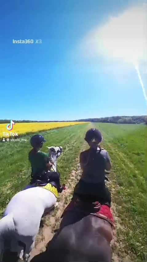 @perrine du 77