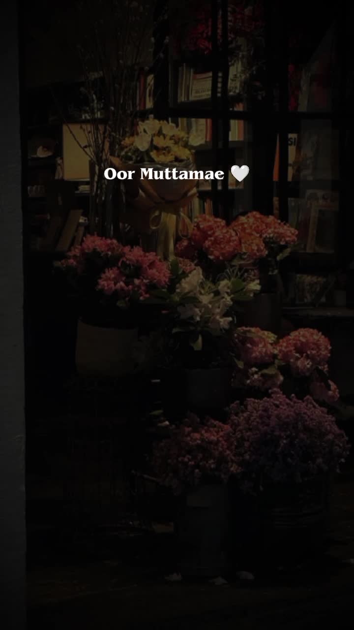 @𝗦𝗛𝗔𝗥𝗠𝗜_𝗘𝗗𝗜𝗧𝗦 🩷