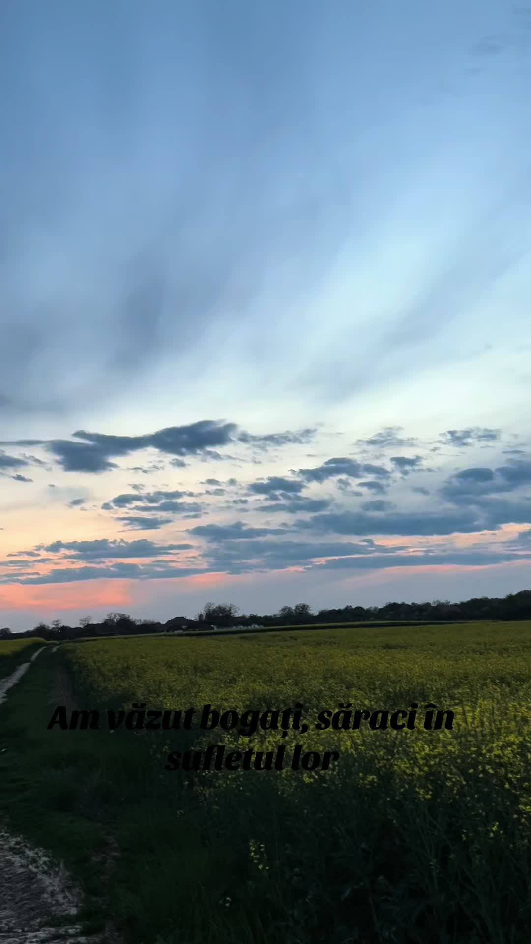@Ardelean Raluca Amalia ❤️