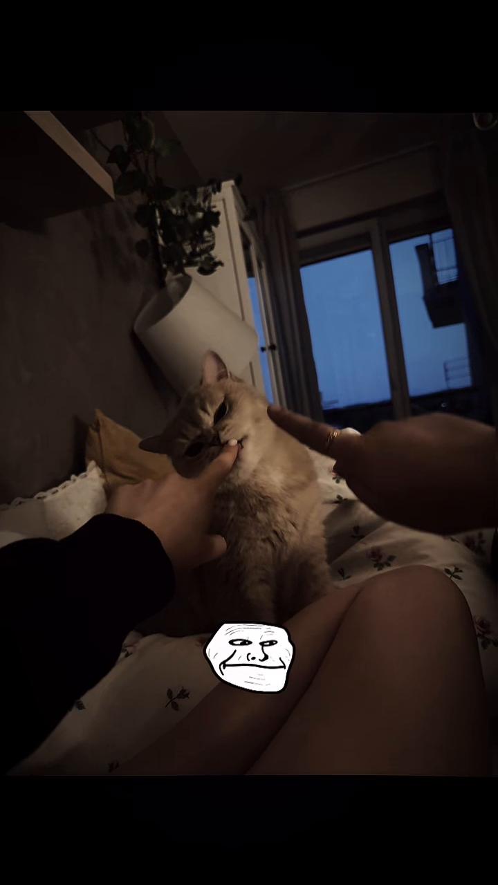 @eva