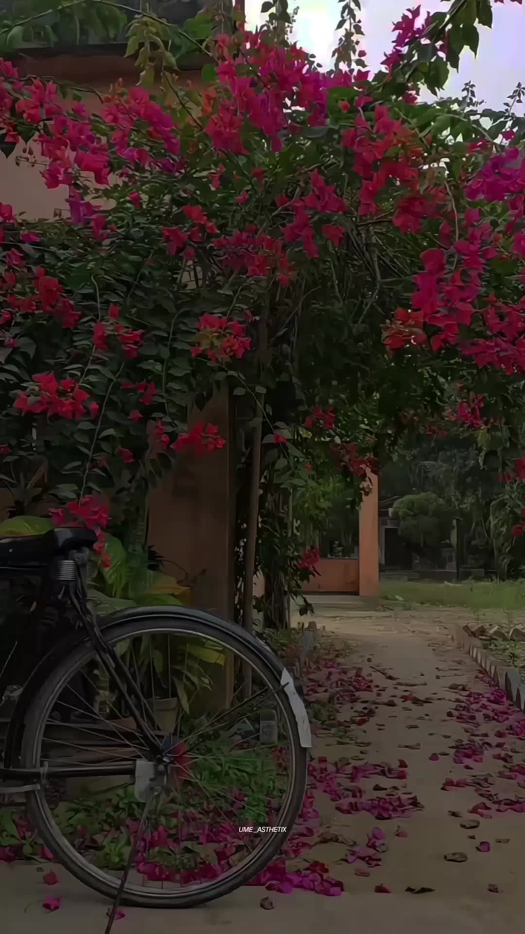 @𝙐 𝙈 𝙀🍁&bull;