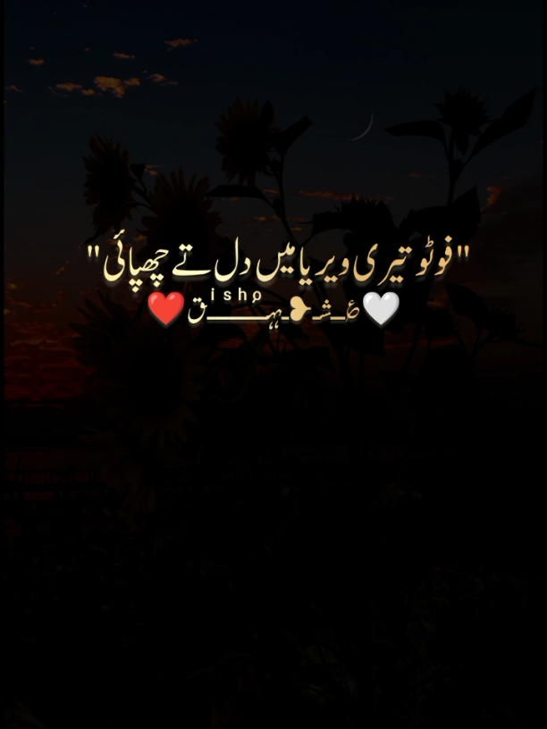 @malik pahlaaj