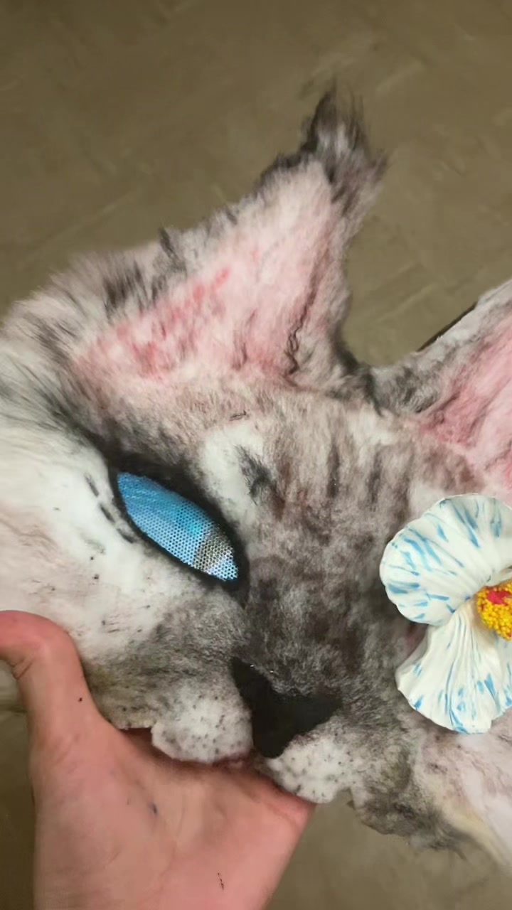 @꧁ ❤️ я&upsilon;ѕту 🐾 ꧂