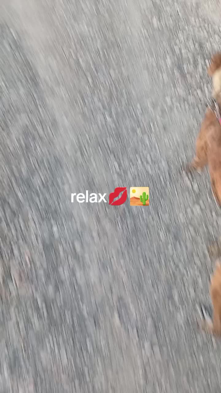 @cocodrilo