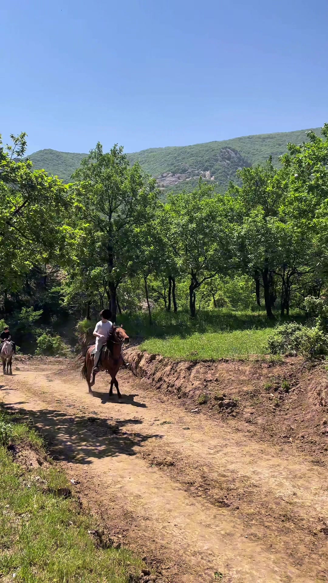 @horselakia