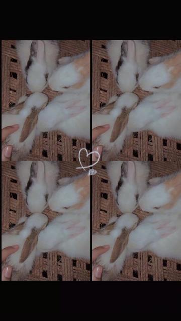 @❤Jaan💗