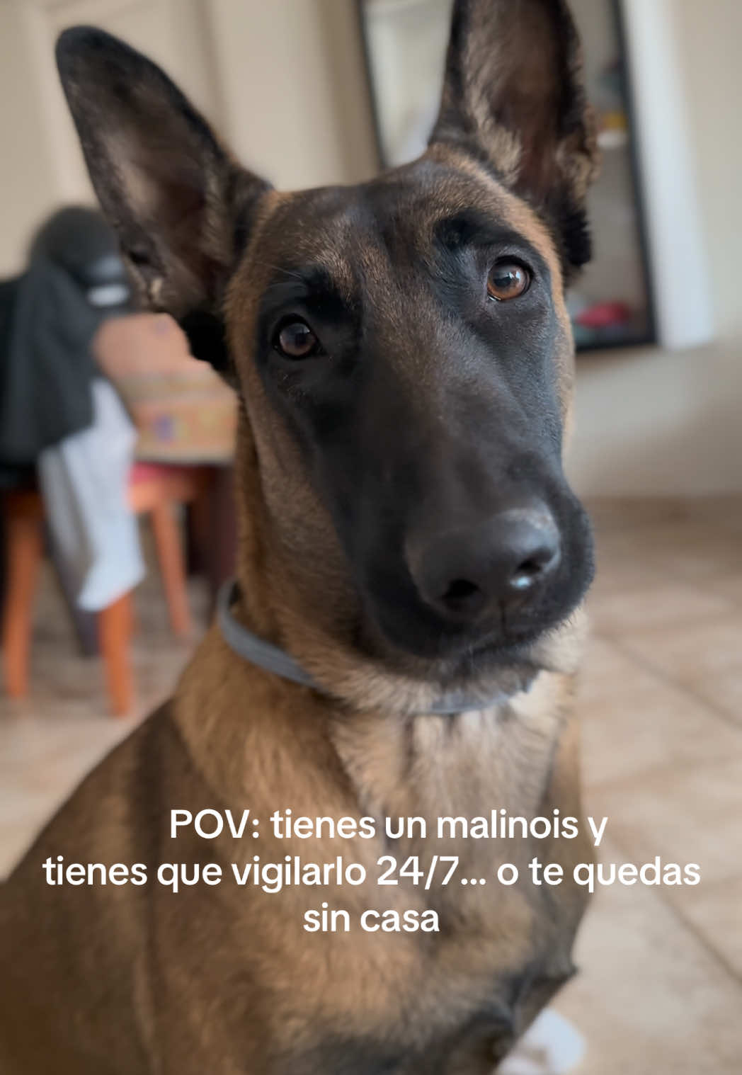 @Lobalobita