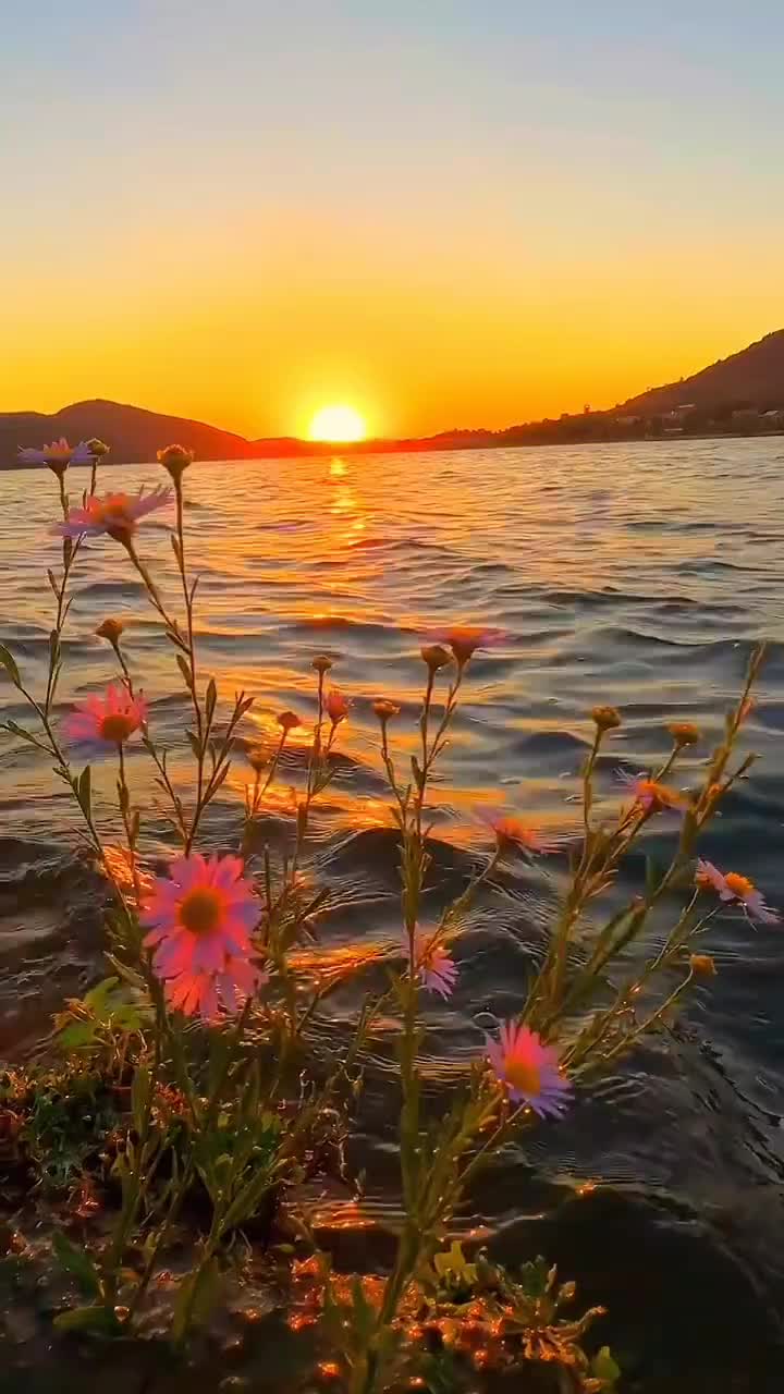 @ayhankavlak
