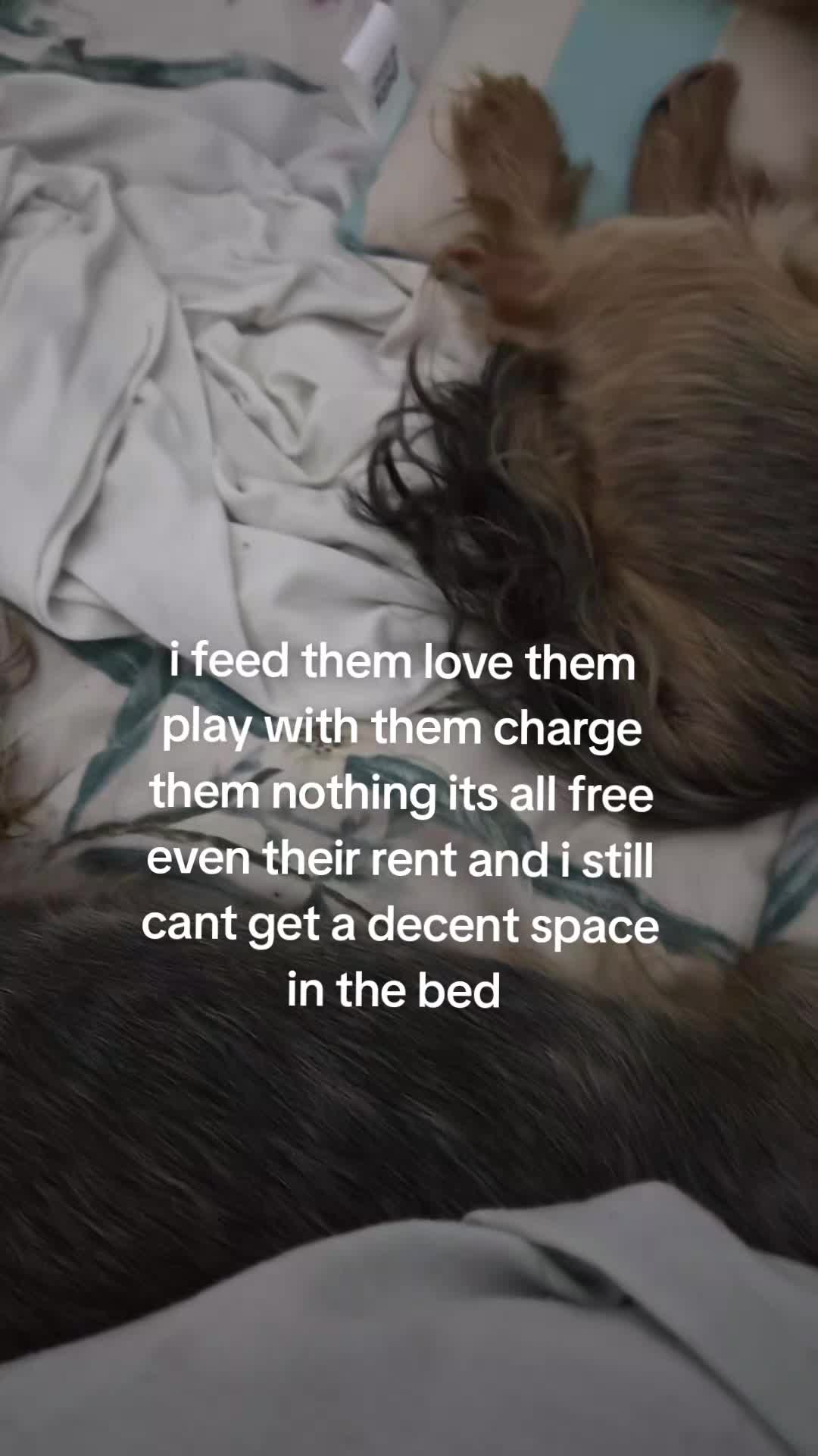 @ju