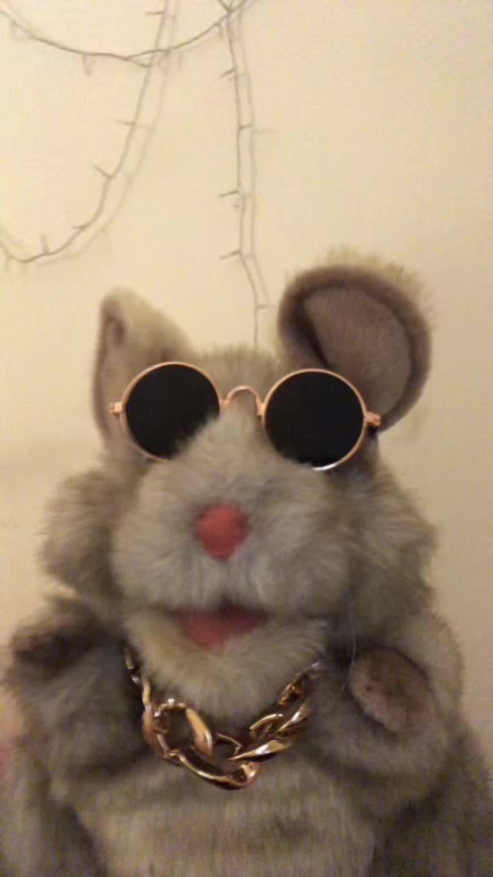 @mozzythemouse