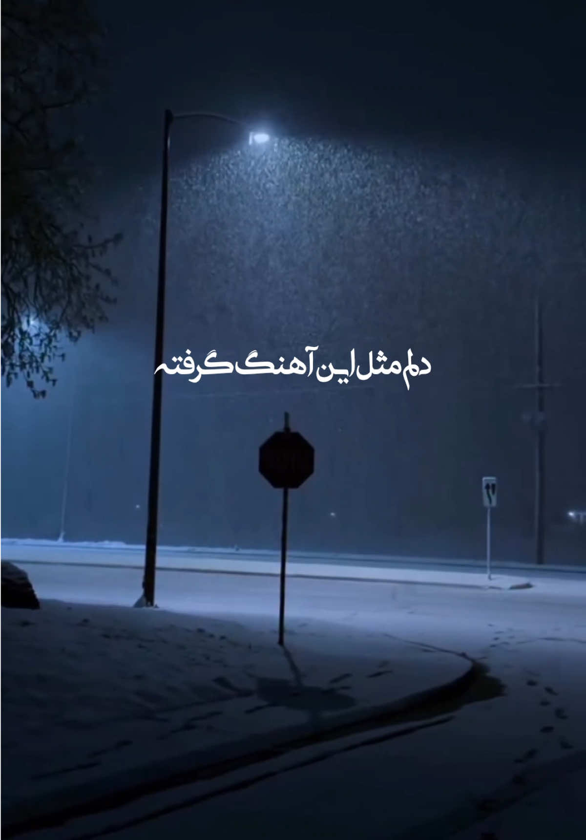 @ððð£ð.ðððð¡ð§á¥«á¡