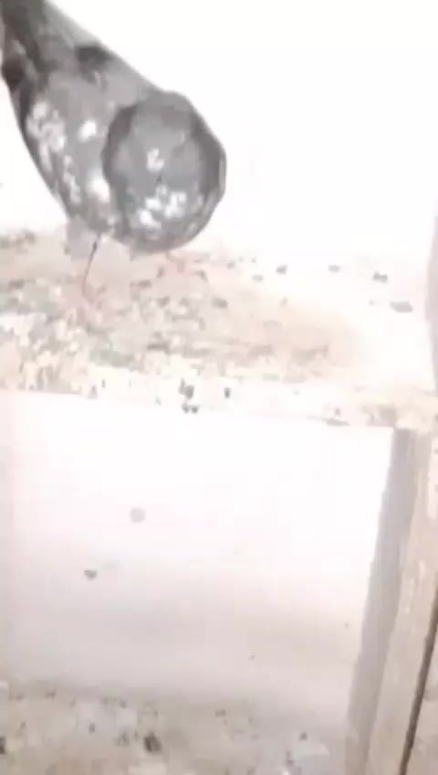 @Golu😈😎