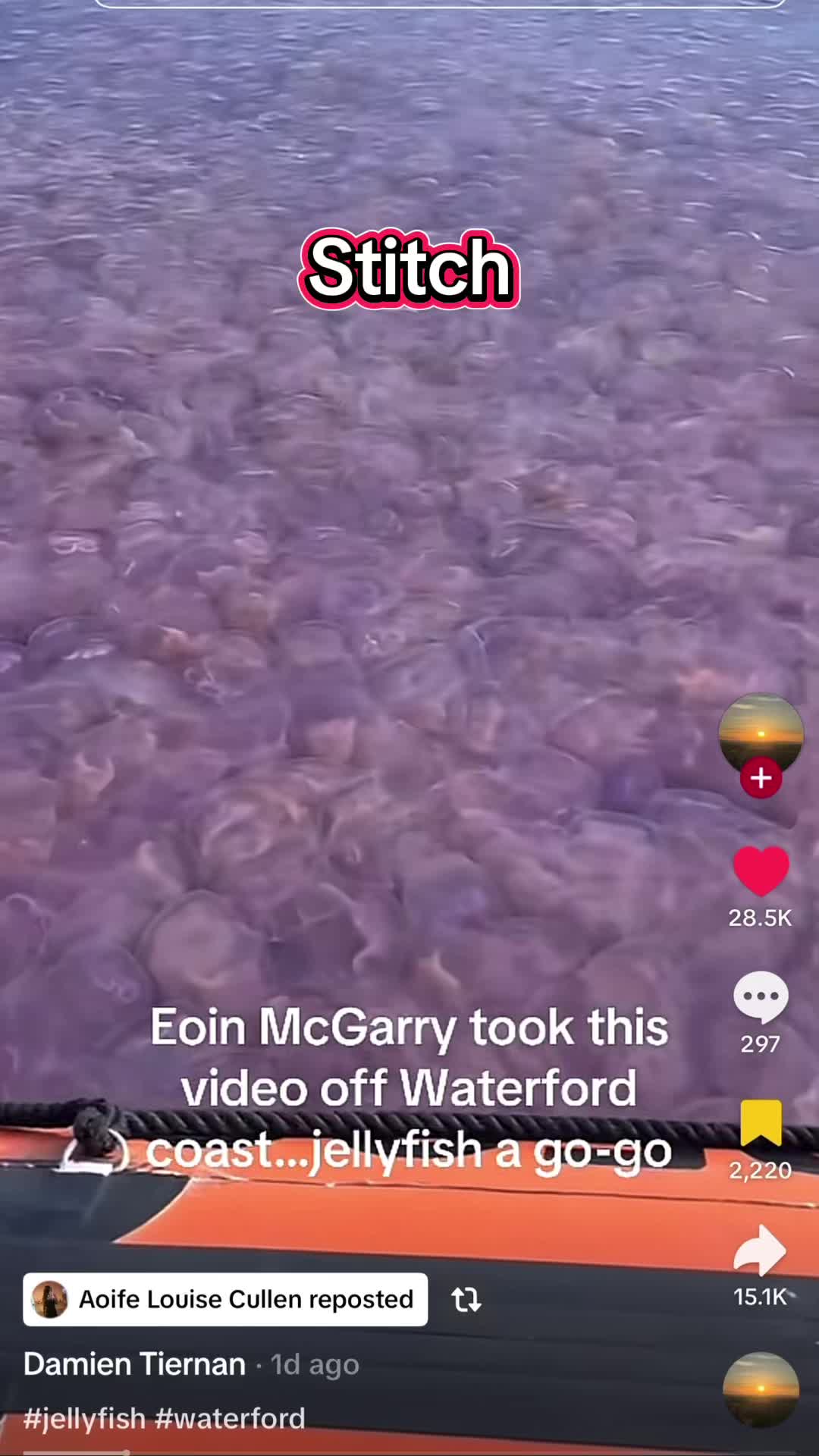 @madzenamusic