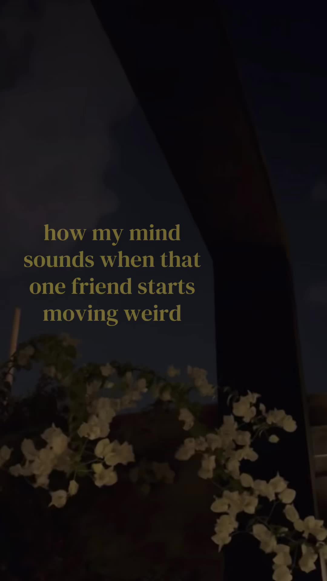 @🧘🏼&zwj;♀️🧁🫶🏼