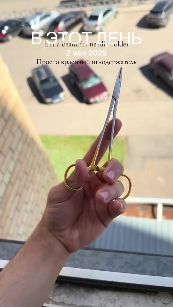 @Your future surgeon🐉