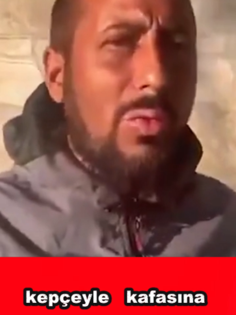 @kedifanatikleri