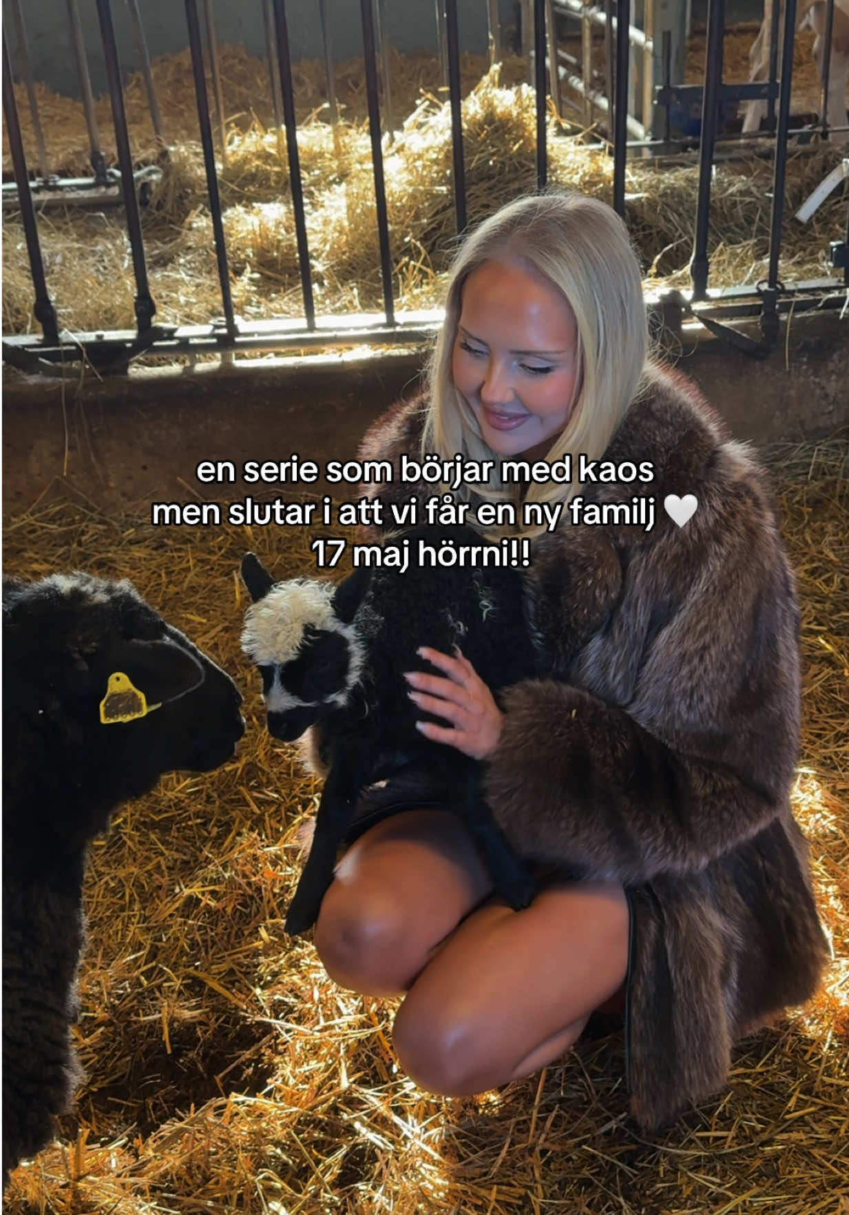 @tildurs