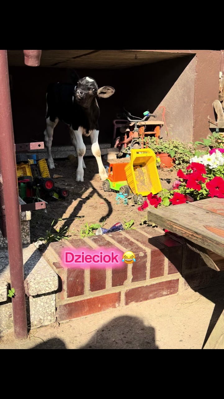 @Agro_dżAga