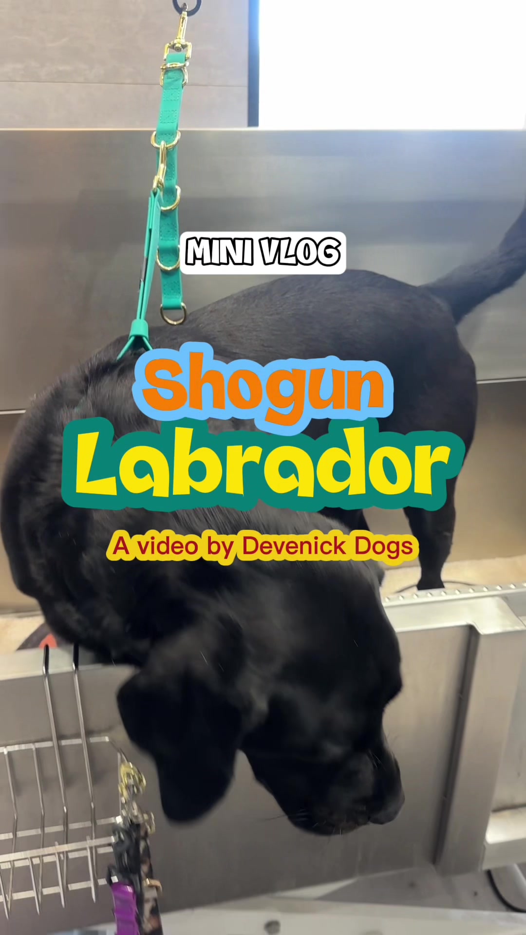 @DevenickDogs