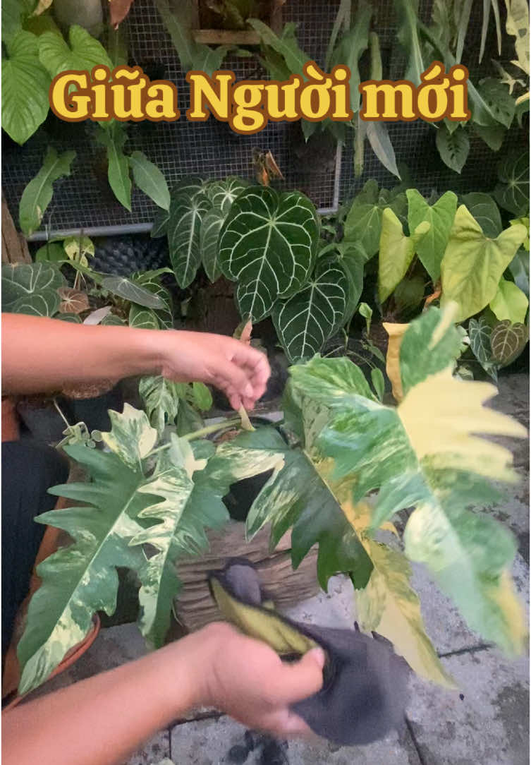 @Kid Garden Decor