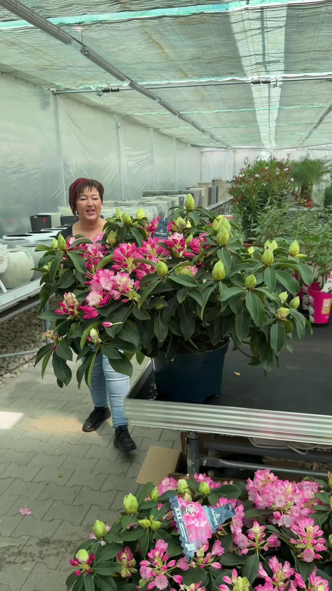 @FLORALAND-KFT