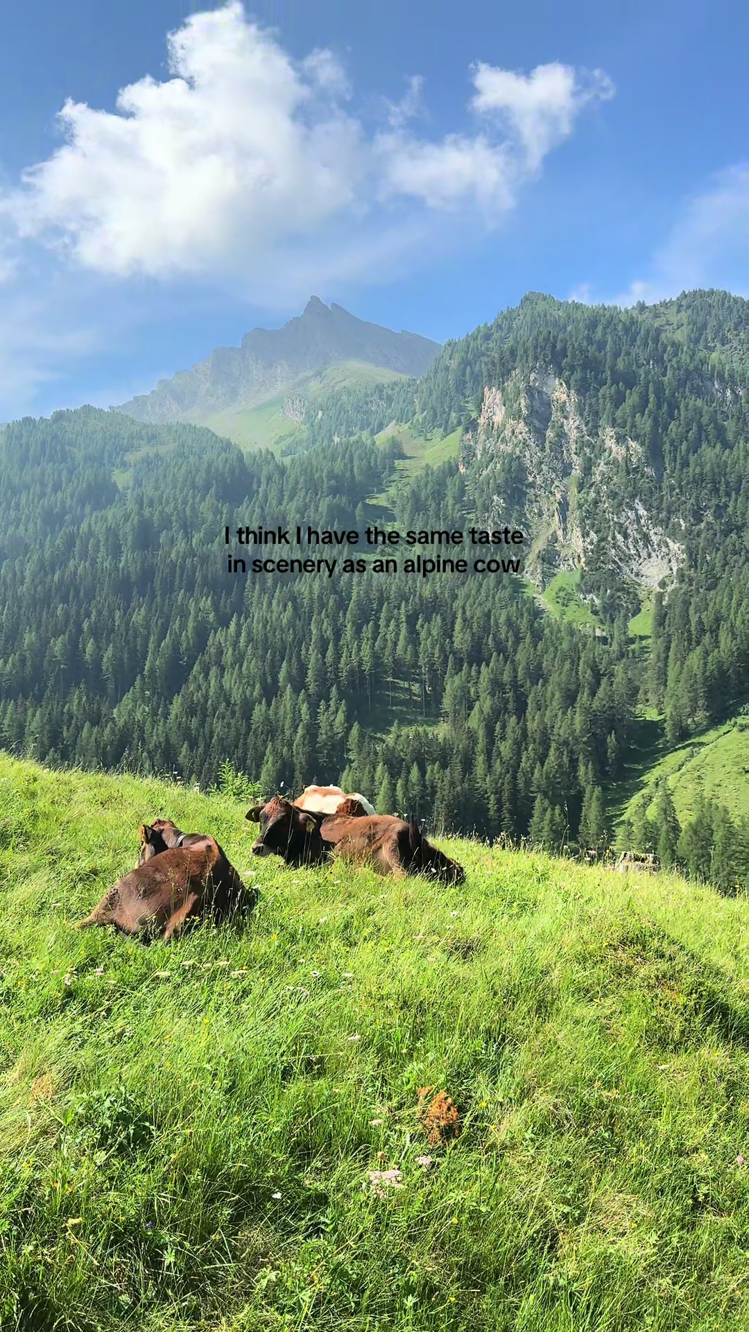 @visittirol