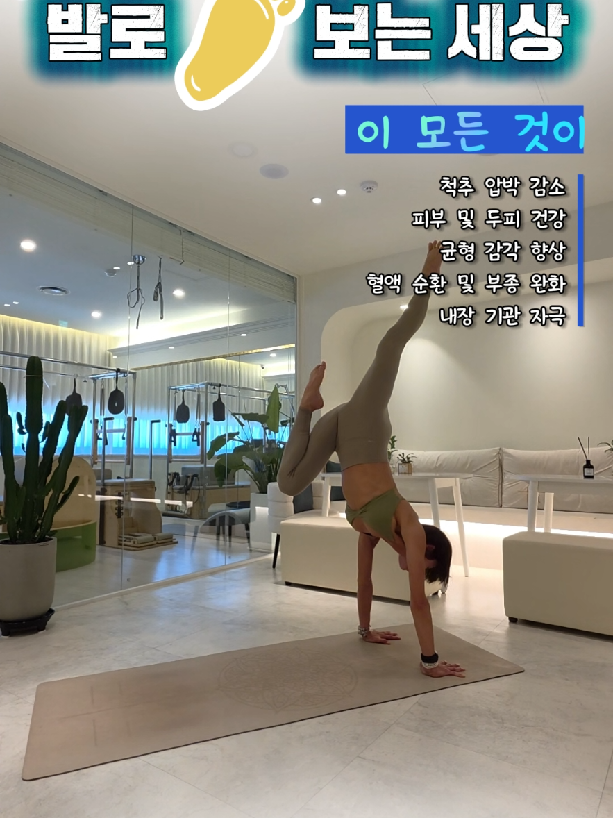 @에카홈트