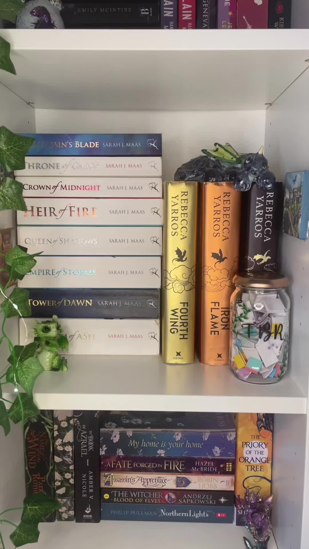@Anwen’s Library 📚🌿✨