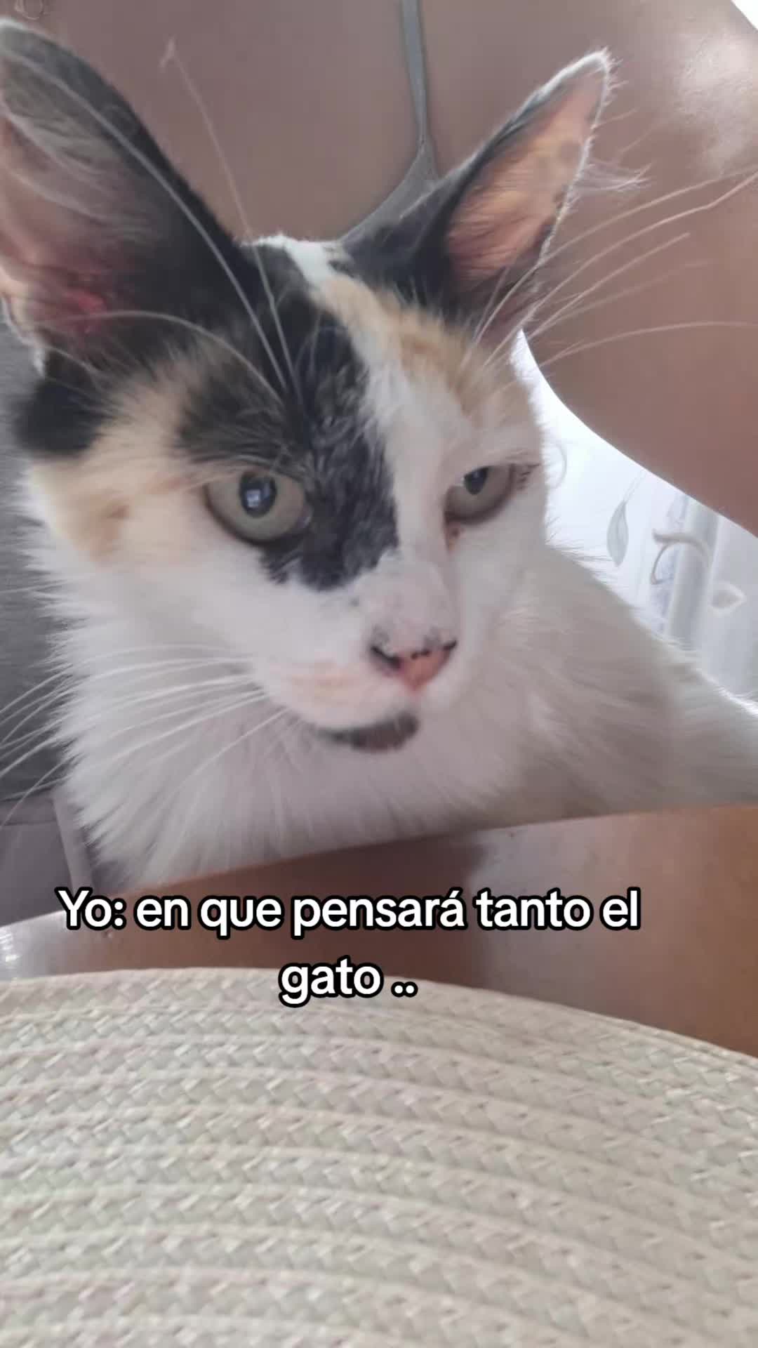 @Miriamgc