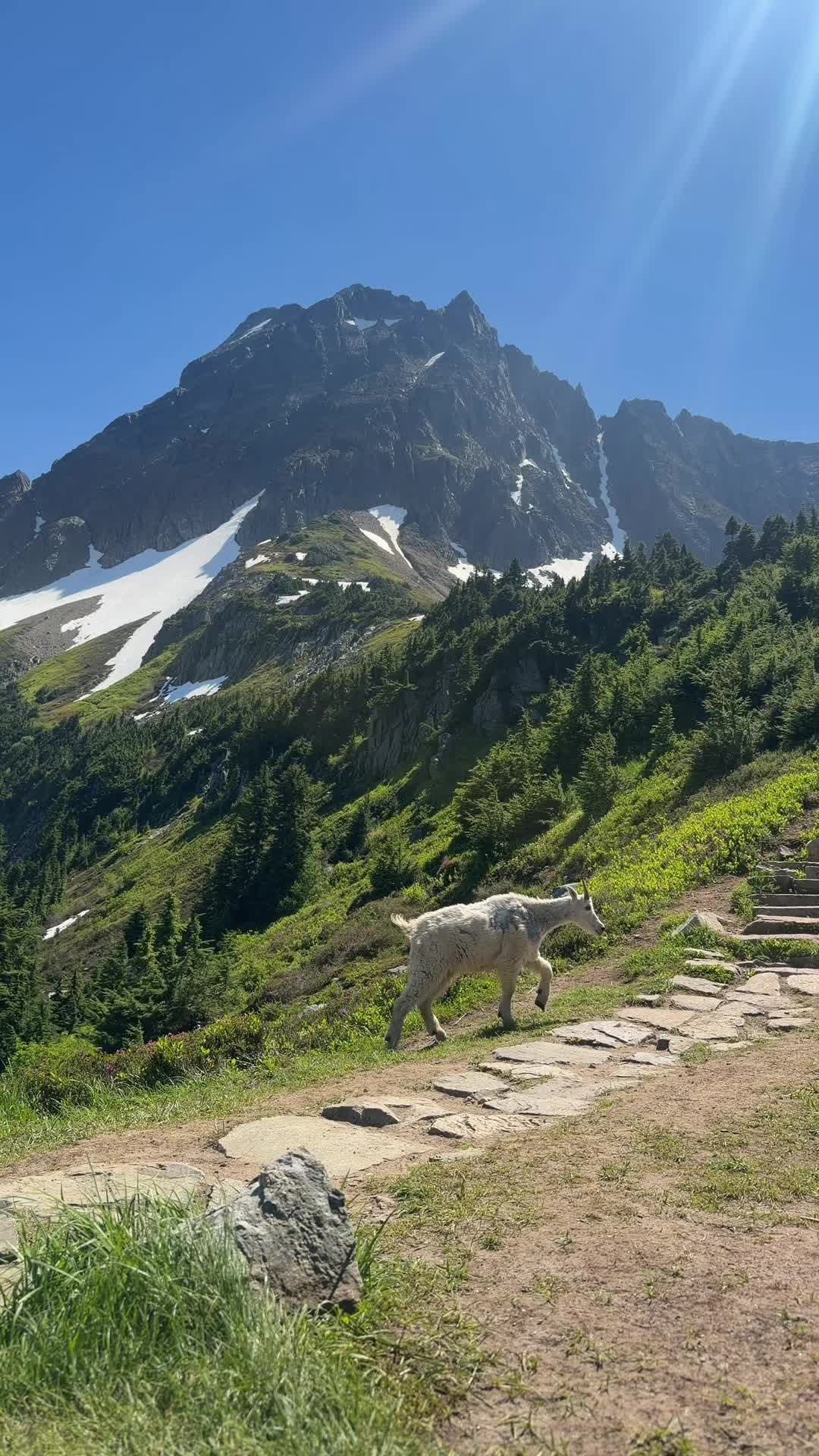 @Kai🏔️