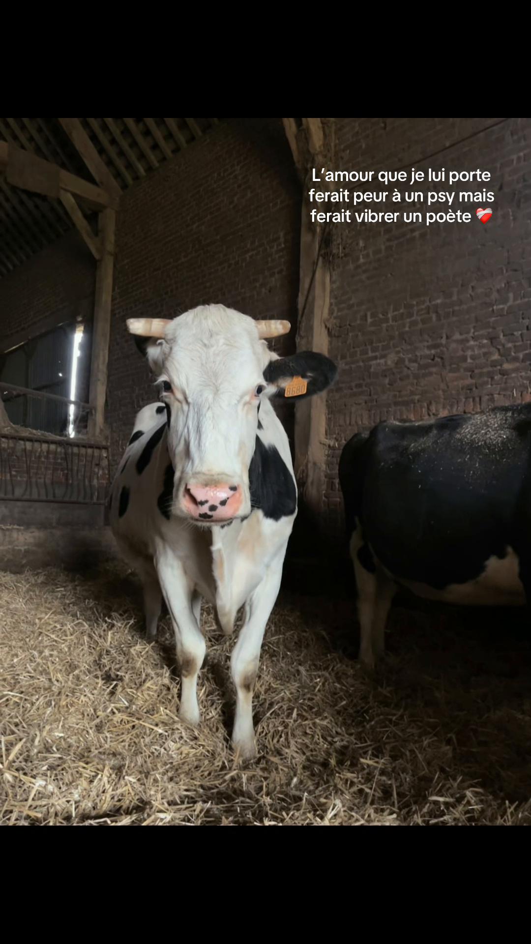 @Océane 🐄🌾