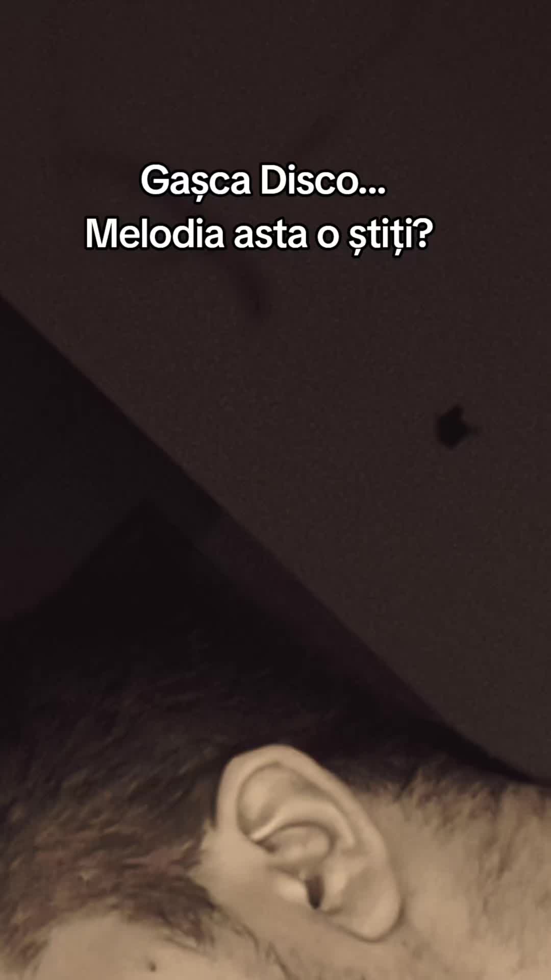 @Alin Bilici