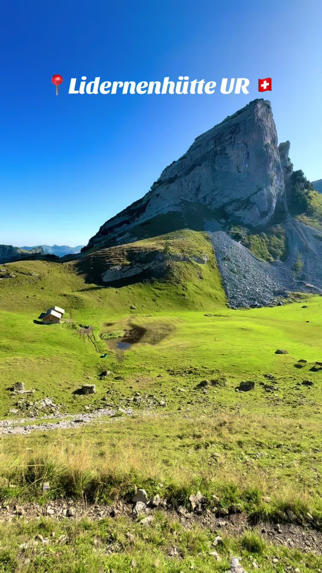 @swiss_alps