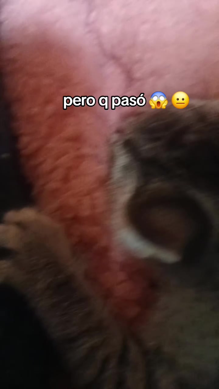 @😍quelindha😍