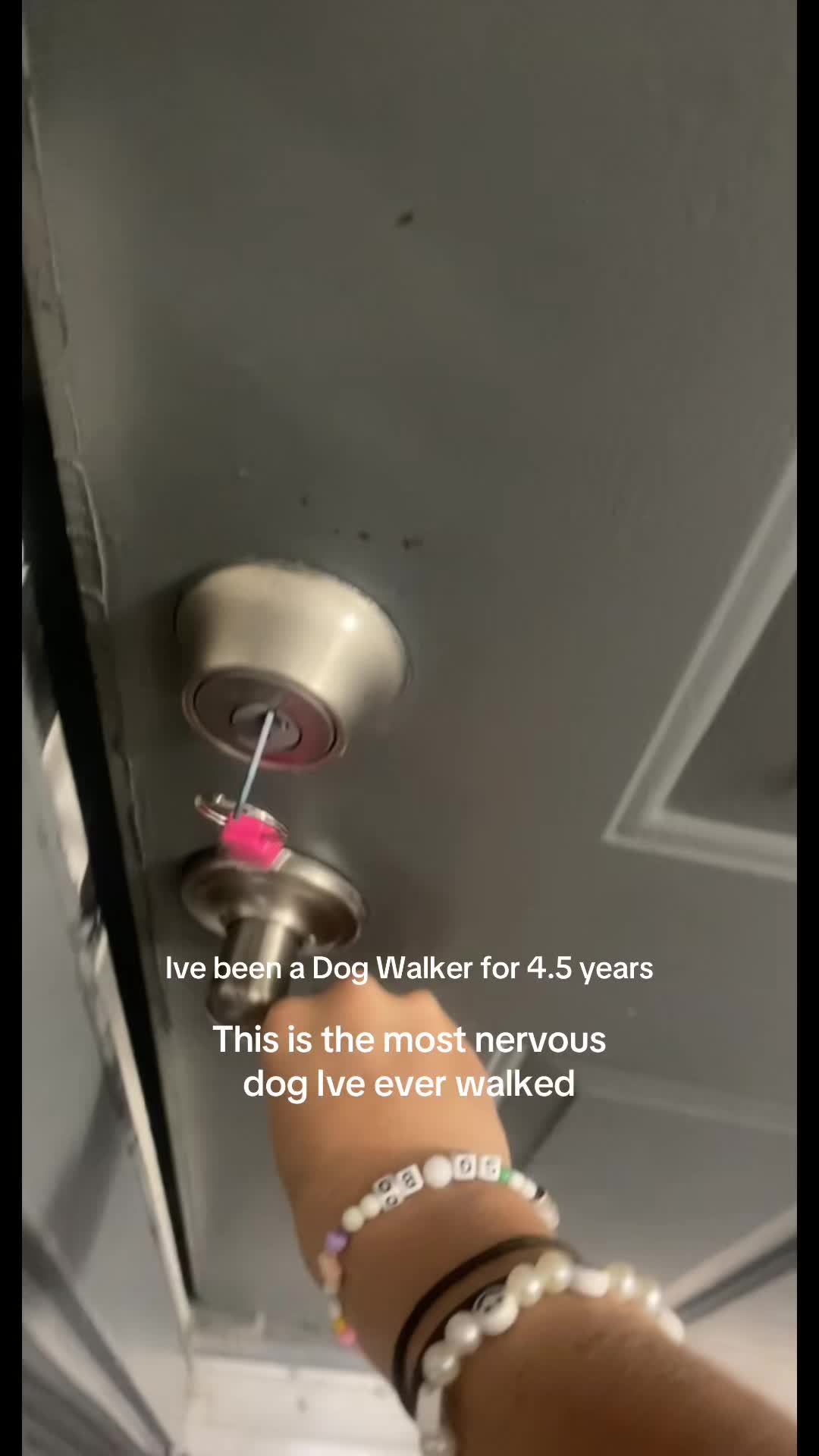@dallasdogwalker