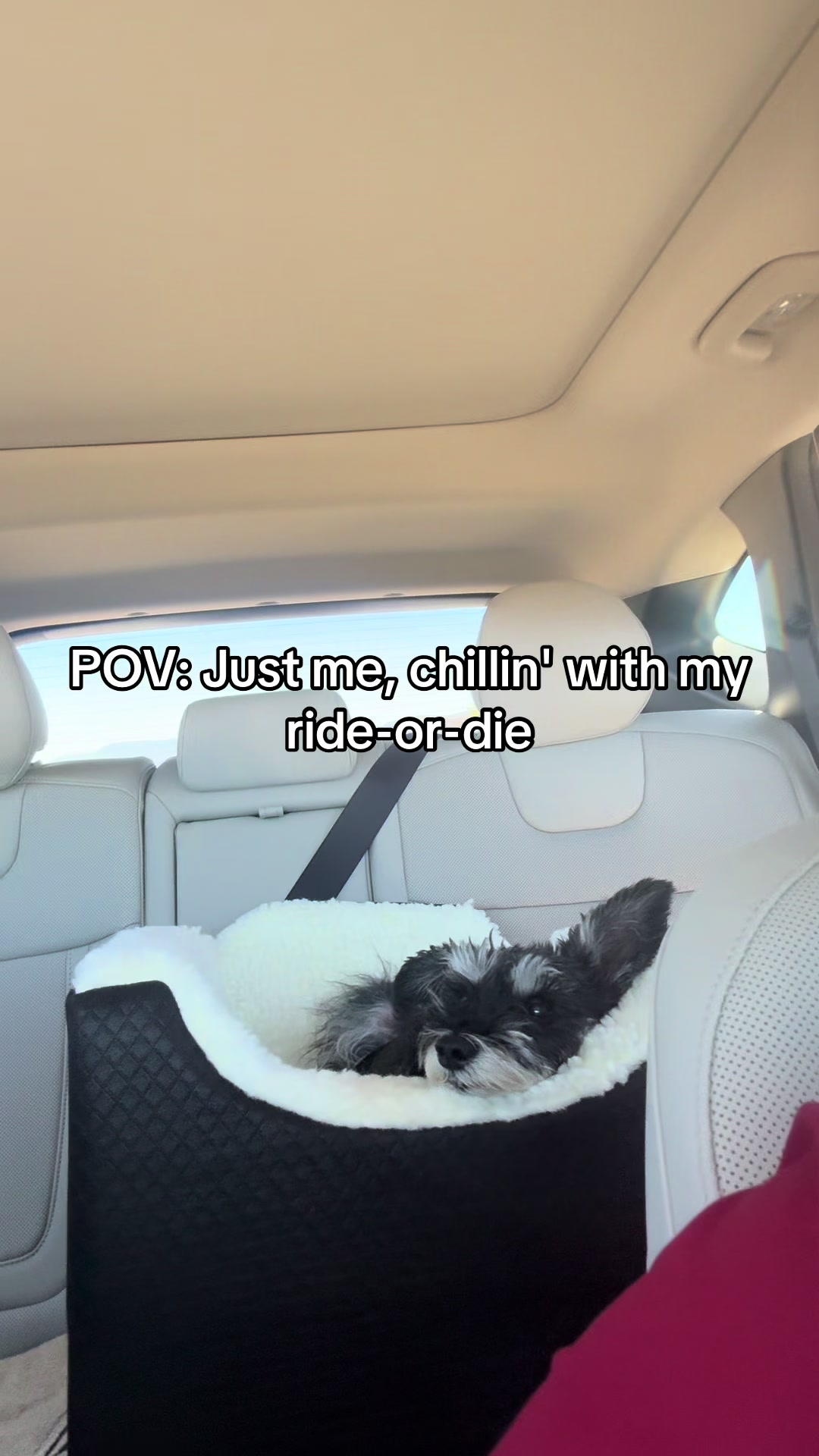 @Princess Pepper