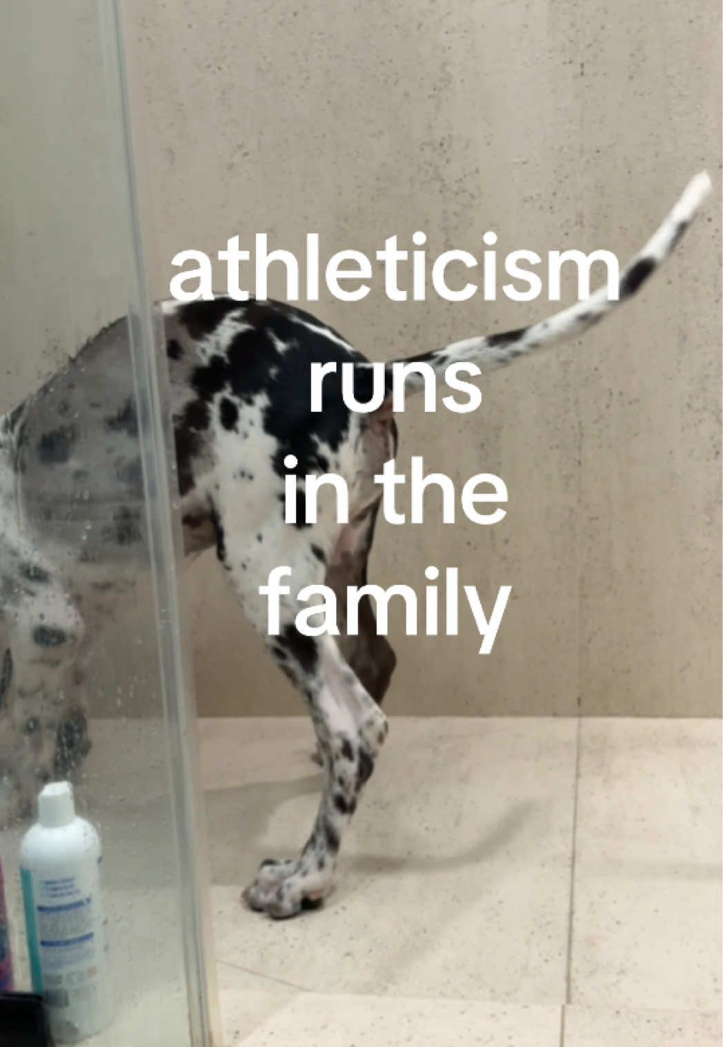 @Milo + Mo