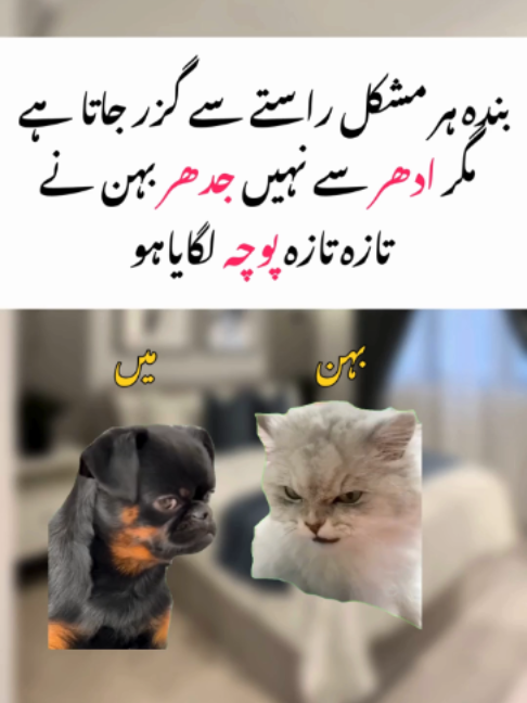 @𝙇𝙞𝙥𝙩𝙤𝙣 𝙠𝙞 𝘾𝙝𝙪𝙨𝙠𝙞