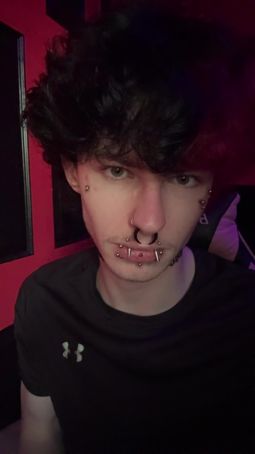 @🦇