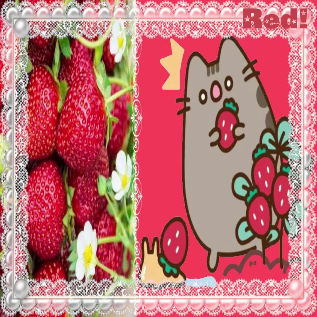 @Lemon ๐ ๐