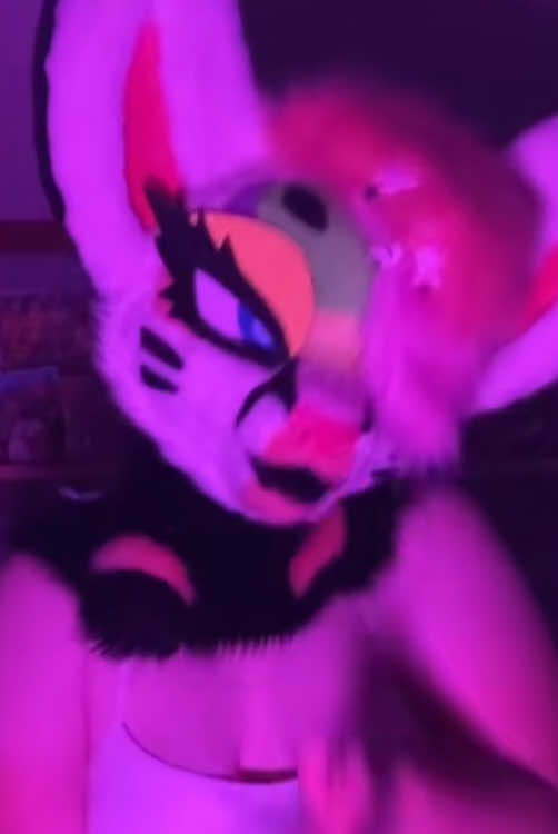 @Liger~Liger🐾🍉