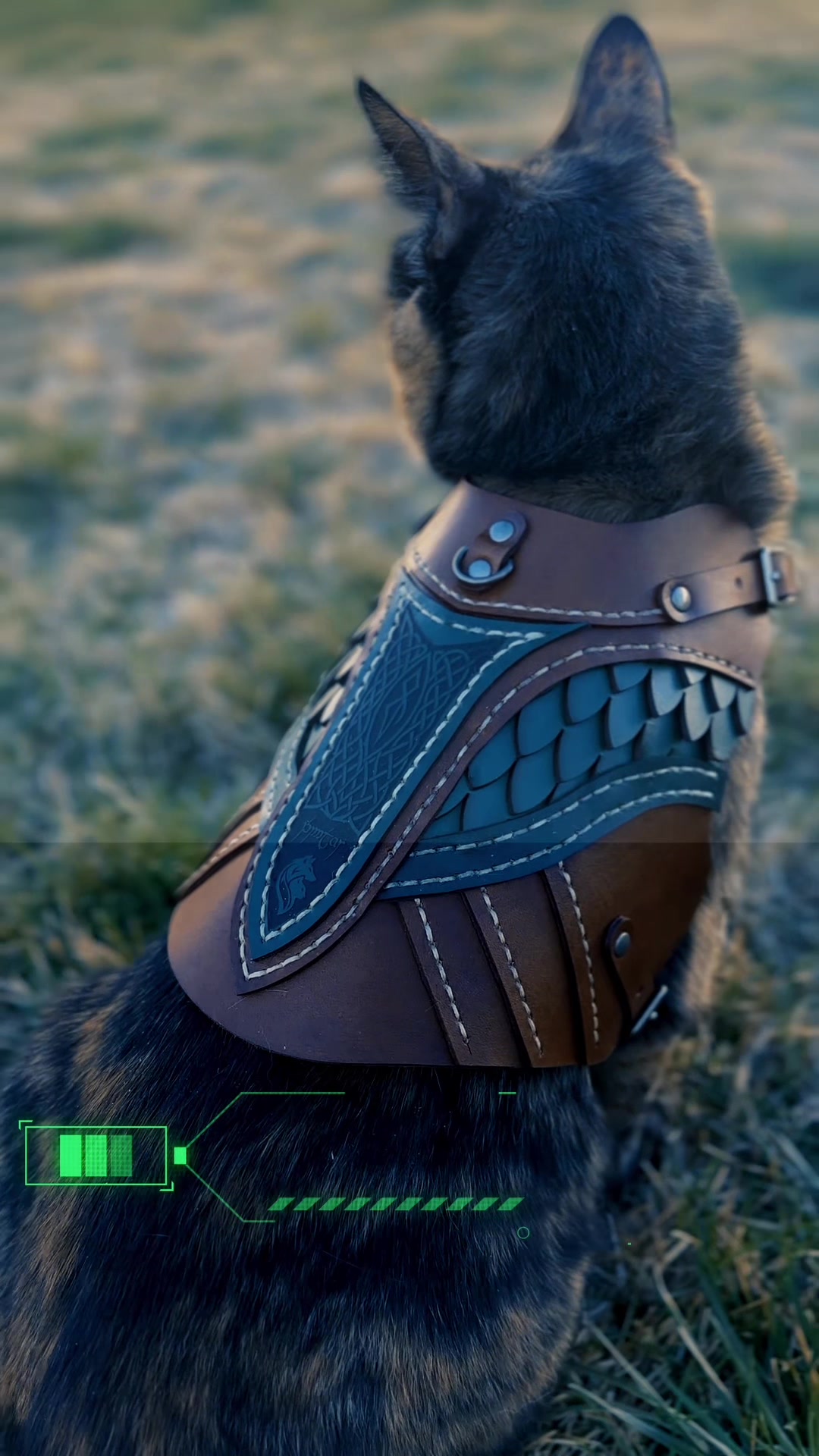 @Pet Armor | Arcane Armory