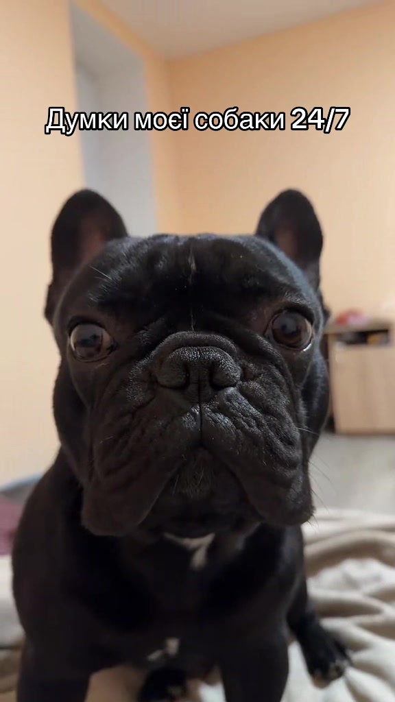 @꧁༺Brabus ༻꧂