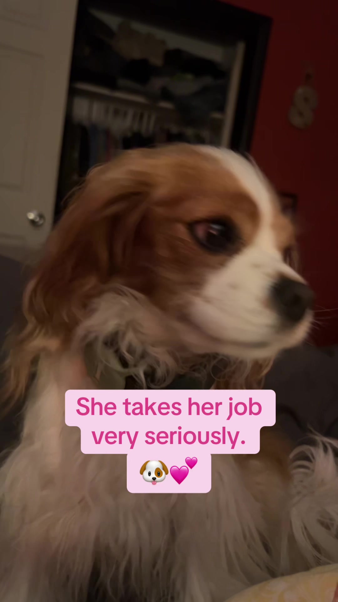@Daisy’s Mom