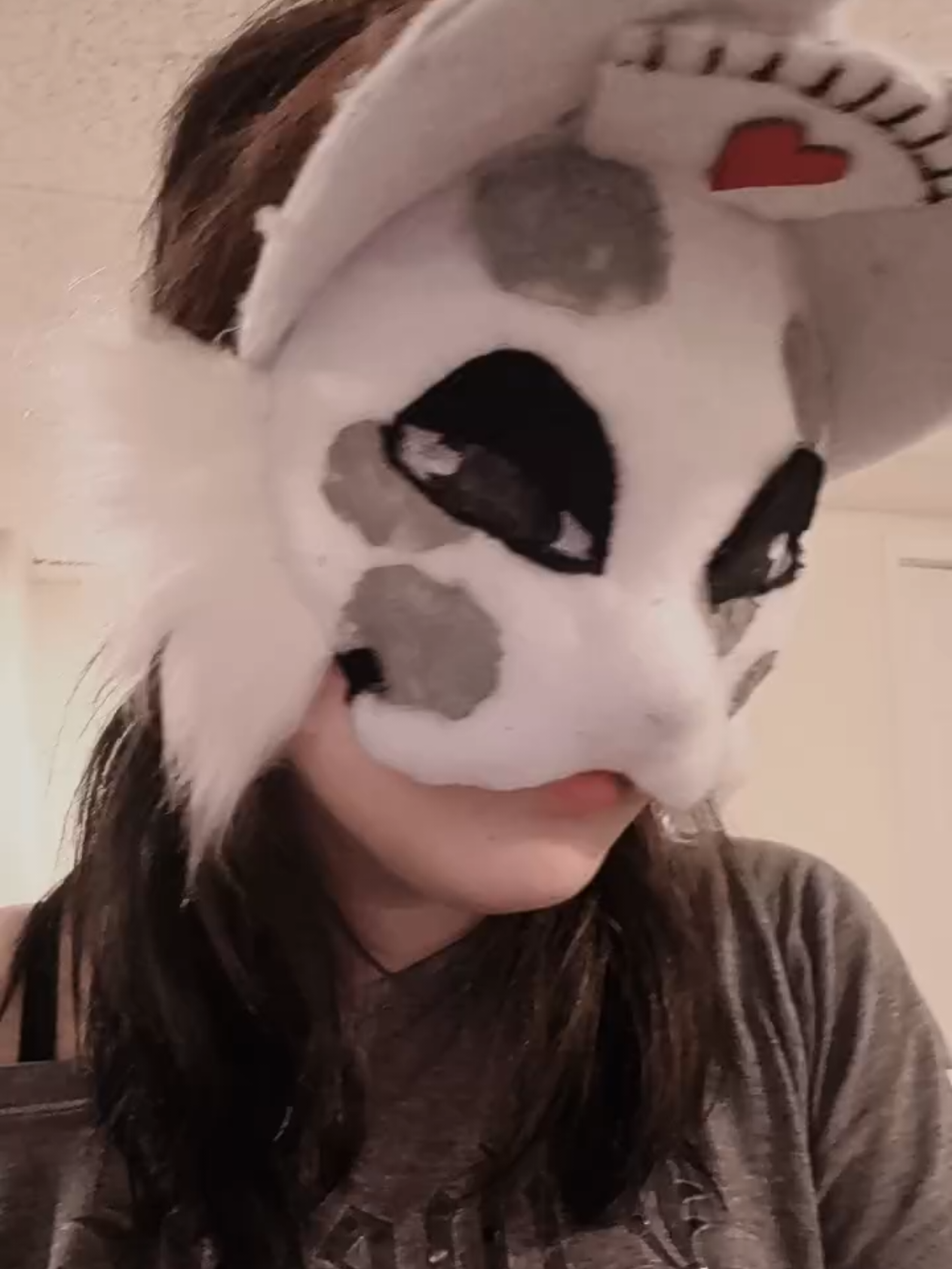 @🐾Sora🦊