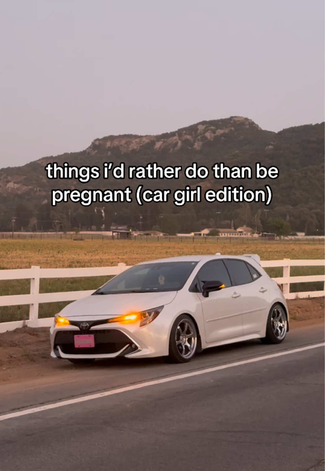 @wnt2bevo