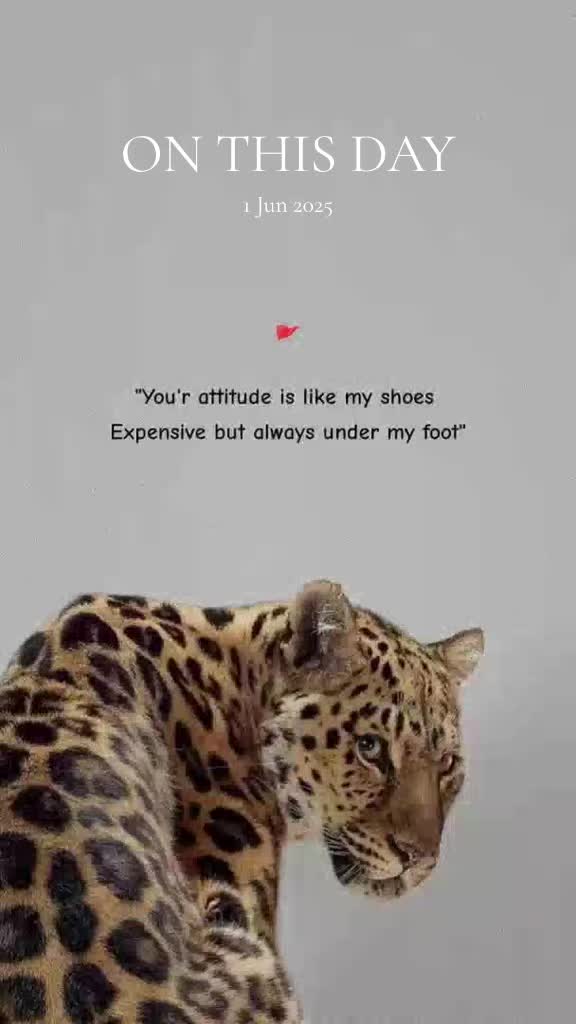 @SH4H1D.KASHMIRI 🥷