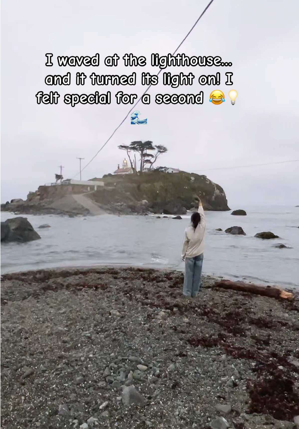 @Tani_Sharma