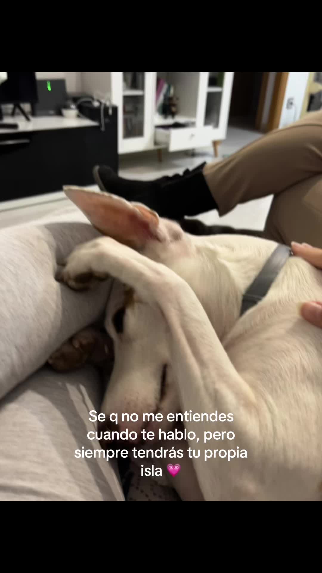 @ramirez_09n